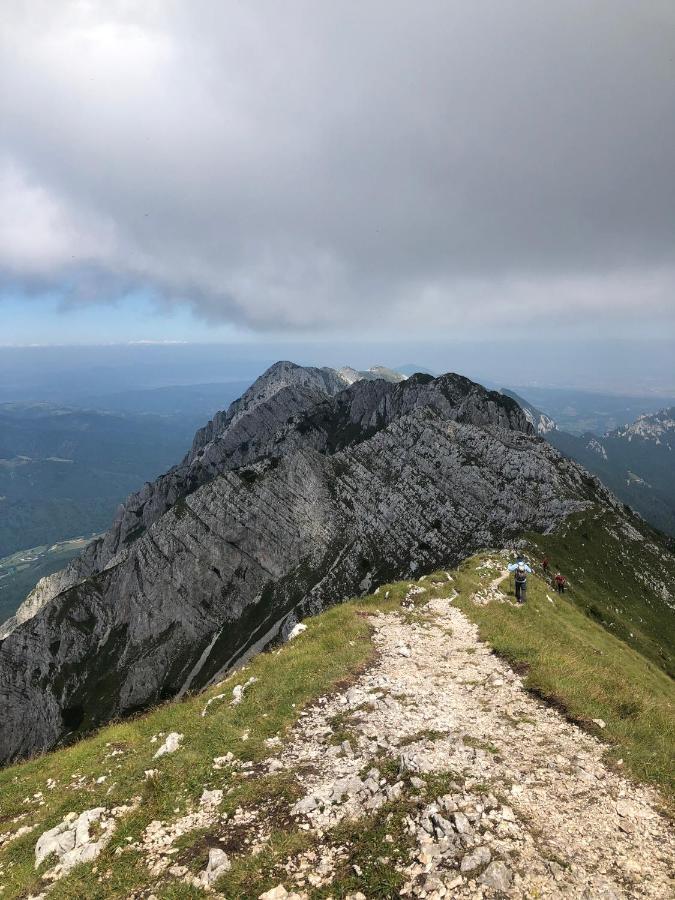 Pensiunea Aliart Zărneşti Εξωτερικό φωτογραφία