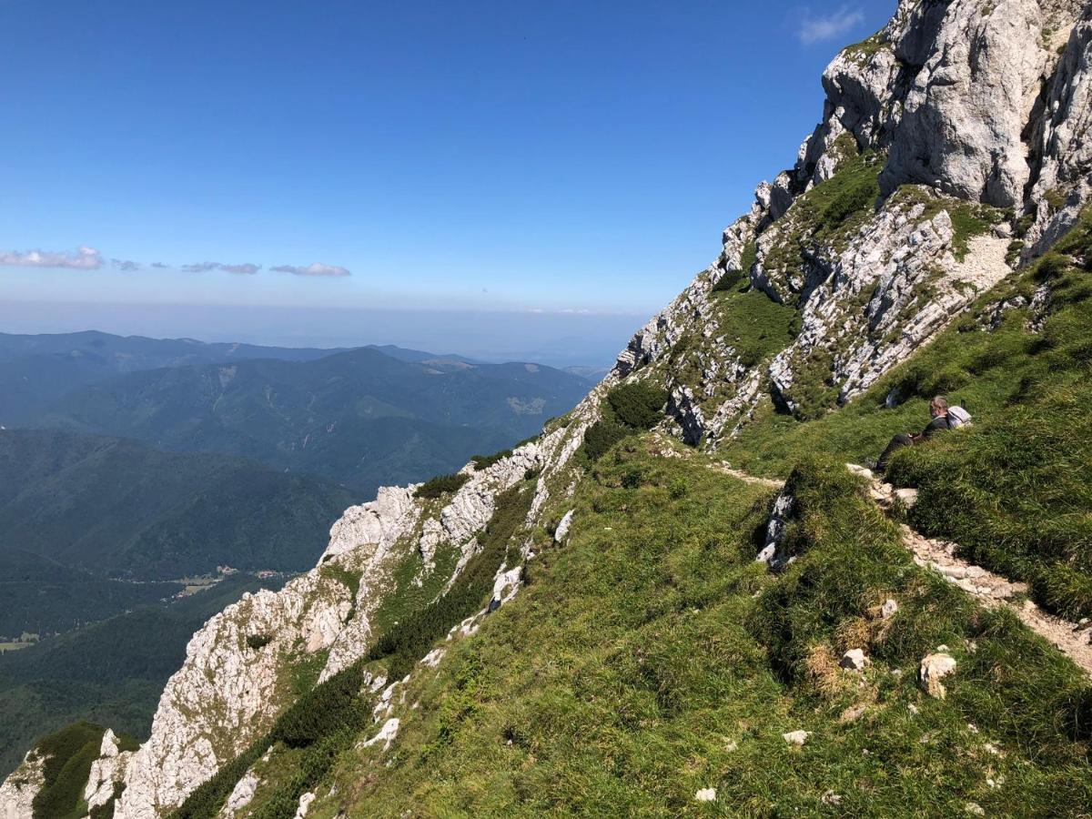 Pensiunea Aliart Zărneşti Εξωτερικό φωτογραφία